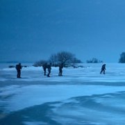 Svart krabba - galeria zdjęć - filmweb
