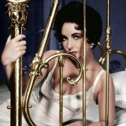 Cat on a Hot Tin Roof - galeria zdjęć - filmweb