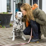 Moje pieskie szczęście - galeria zdjęć - filmweb