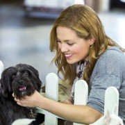 My Boyfriends' Dogs - galeria zdjęć - filmweb