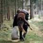 Kąpiel diabła - galeria zdjęć
