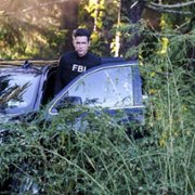 FBI - galeria zdjęć - filmweb