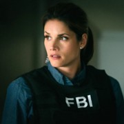 Missy Peregrym w FBI