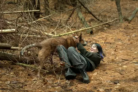 Orphan Black: Echa - galeria zdjęć - filmweb