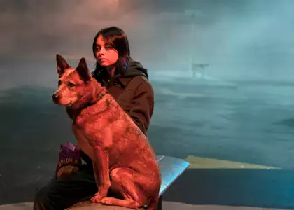 Orphan Black: Echa - galeria zdjęć - filmweb