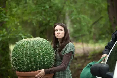 Wampiry i świry - galeria zdjęć - filmweb