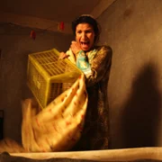 When Pigs Have Wings - galeria zdjęć - filmweb