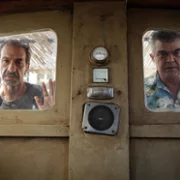 When Pigs Have Wings - galeria zdjęć - filmweb