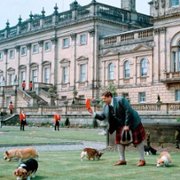 King Ralph - galeria zdjęć - filmweb