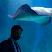 My Life Is Murder - galeria zdjęć - filmweb
