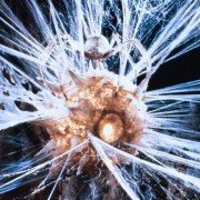 Krull - galeria zdjęć - filmweb