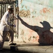 Memoria de mis putas tristes - galeria zdjęć - filmweb