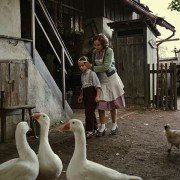 Boso po ściernisku - galeria zdjęć - filmweb