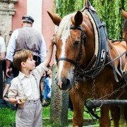 Po strništi bos - galeria zdjęć - filmweb