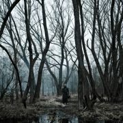 Sauna - galeria zdjęć - filmweb