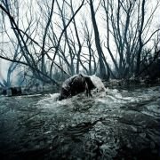 Sauna - galeria zdjęć - filmweb