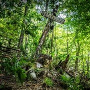 Pet Sematary - galeria zdjęć - filmweb