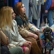 Por H o por B - galeria zdjęć - filmweb