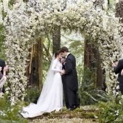 The Twilight Saga: Breaking Dawn - Part 1 - galeria zdjęć - filmweb