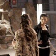 Chiński zodiak - galeria zdjęć - filmweb