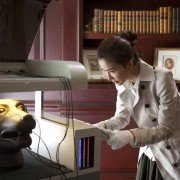 Sap Ji Sang Ciu - galeria zdjęć - filmweb