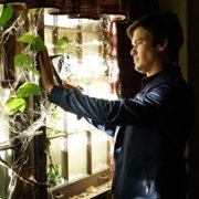 Pretty Little Liars - galeria zdjęć - filmweb