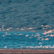 Świat spokoju - galeria zdjęć - filmweb