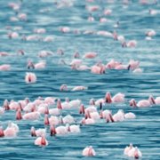 A World of Calm - galeria zdjęć - filmweb