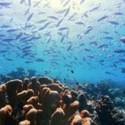 A World of Calm - galeria zdjęć - filmweb