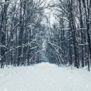 A World of Calm - galeria zdjęć - filmweb