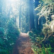 A World of Calm - galeria zdjęć - filmweb