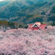 A World of Calm - galeria zdjęć - filmweb