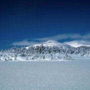A World of Calm - galeria zdjęć - filmweb