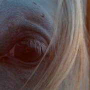 A World of Calm - galeria zdjęć - filmweb