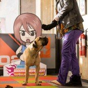 Loaded - galeria zdjęć - filmweb