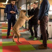 Loaded - galeria zdjęć - filmweb