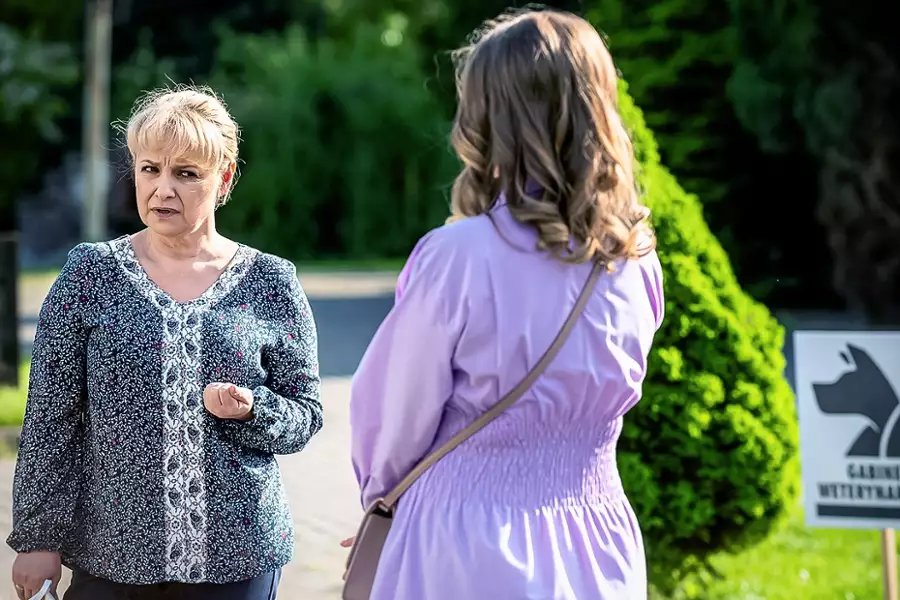 Tatuśkowie - galeria zdjęć - filmweb