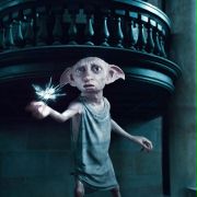 Toby Jones w Harry Potter i Insygnia Śmierci: Część I