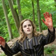 Harry Potter i Insygnia Śmierci: Część I - galeria zdjęć - filmweb