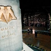 Imelda Staunton w Harry Potter i Insygnia Śmierci: Część I
