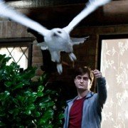 Harry Potter and the Deathly Hallows: Part 1 - galeria zdjęć - filmweb