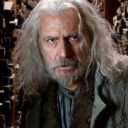 Rade Šerbedžija w Harry Potter i Insygnia Śmierci: Część I