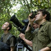 Chimpanzee - galeria zdjęć - filmweb