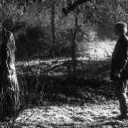 November - galeria zdjęć - filmweb