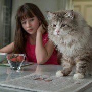 Jak zostać kotem - galeria zdjęć - filmweb