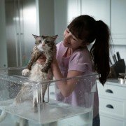 Jak zostać kotem - galeria zdjęć - filmweb