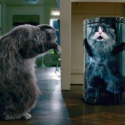Nine Lives - galeria zdjęć - filmweb