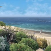 Storm Boy - galeria zdjęć - filmweb