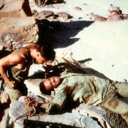 Bestia - galeria zdjęć - filmweb