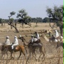 Darfur Now - galeria zdjęć